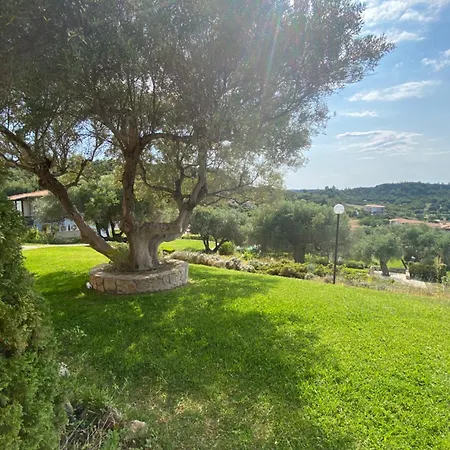 Semesterbostad Suits *